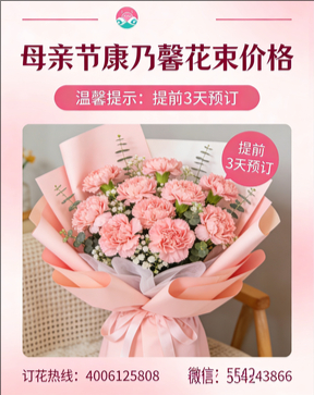 南京花店母亲节康乃馨花束