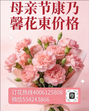 南京花店母亲节康乃馨花束